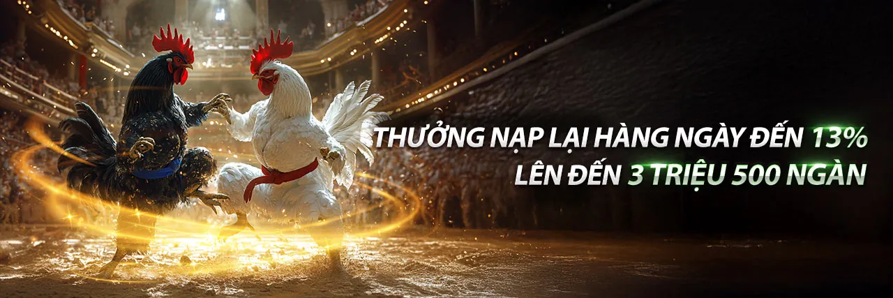 Sân đấu đá gà trực tuyến 72win