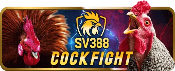 Cookie hiệu suất